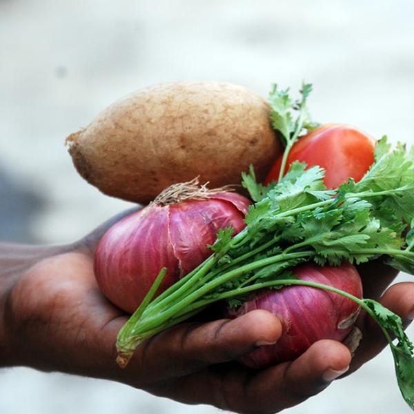 Is a Vegan Diet Healthy For Children?