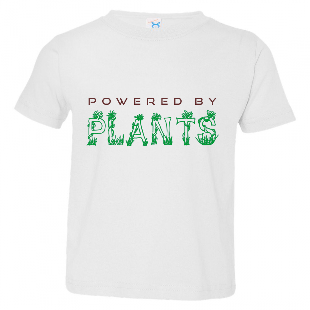 About Our Premium T-Shirts